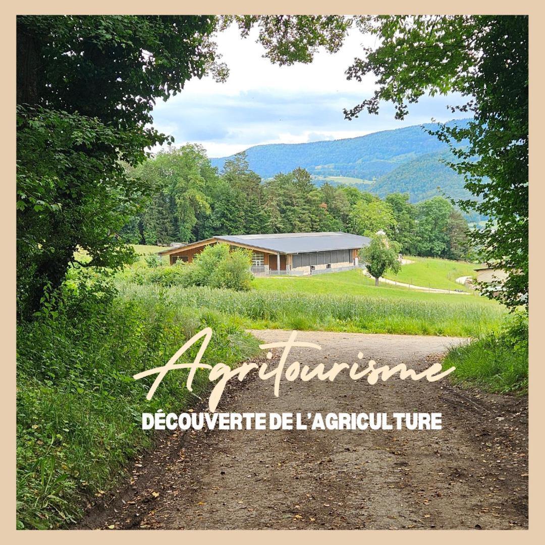 La Ferme Du Solvat Apartamento Courcelon Exterior foto